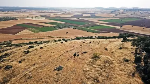 Imagen Campo de Montiel Imagen Campo de Montiel