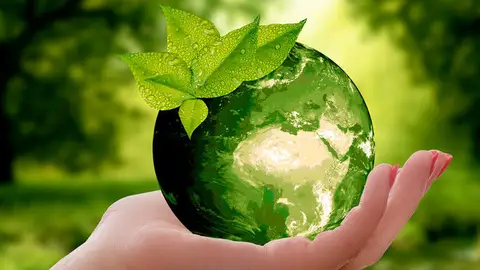 Medio Ambiente Medio Ambiente