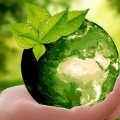 Medio Ambiente Medio Ambiente