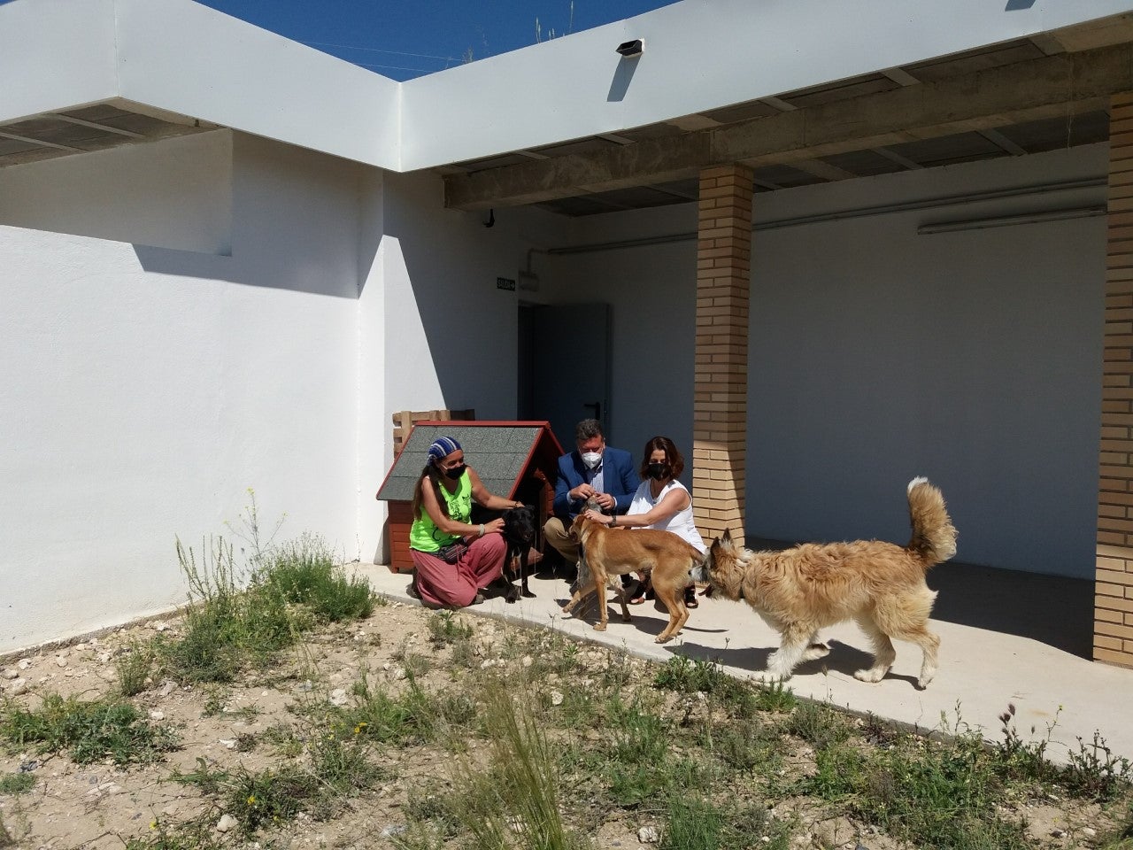 Puesta de largo para el refugio de animales de Teruel Puesta de largo para el refugio de animales de Teruel
