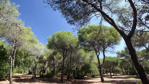 Nagüelles Marbella Nagüelles Marbella