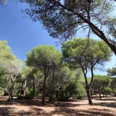 Nagüelles Marbella Nagüelles Marbella