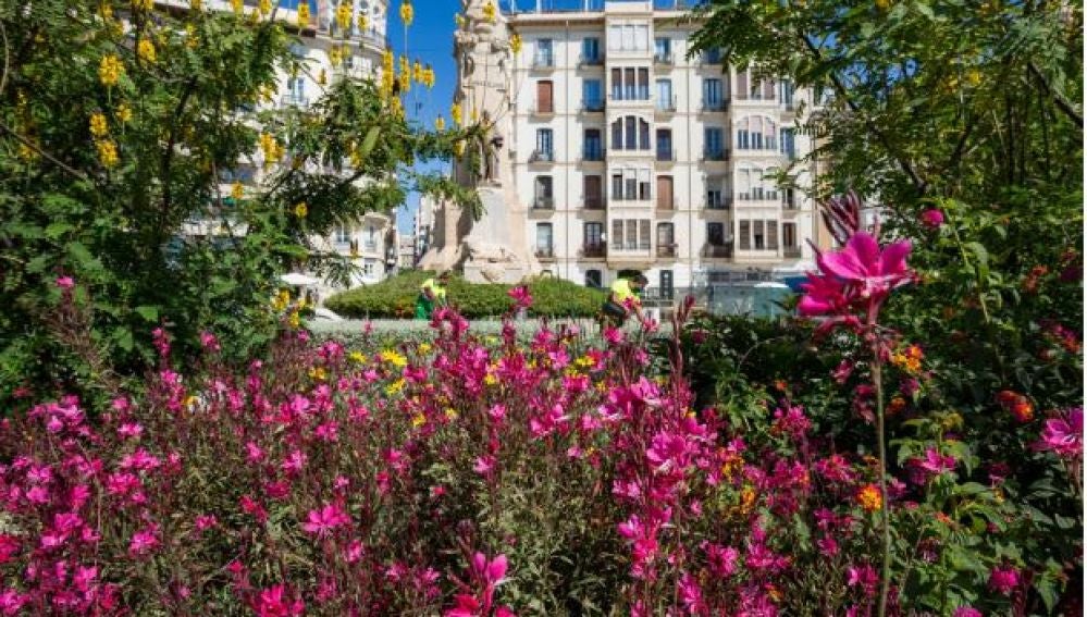 La Plaza de Canalejas con la nueva vegetación 