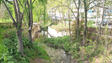 Arroyo Camarmilla. Alcal&aacute; de Henares