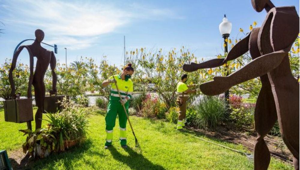 Los operarios ultiman la plantación 