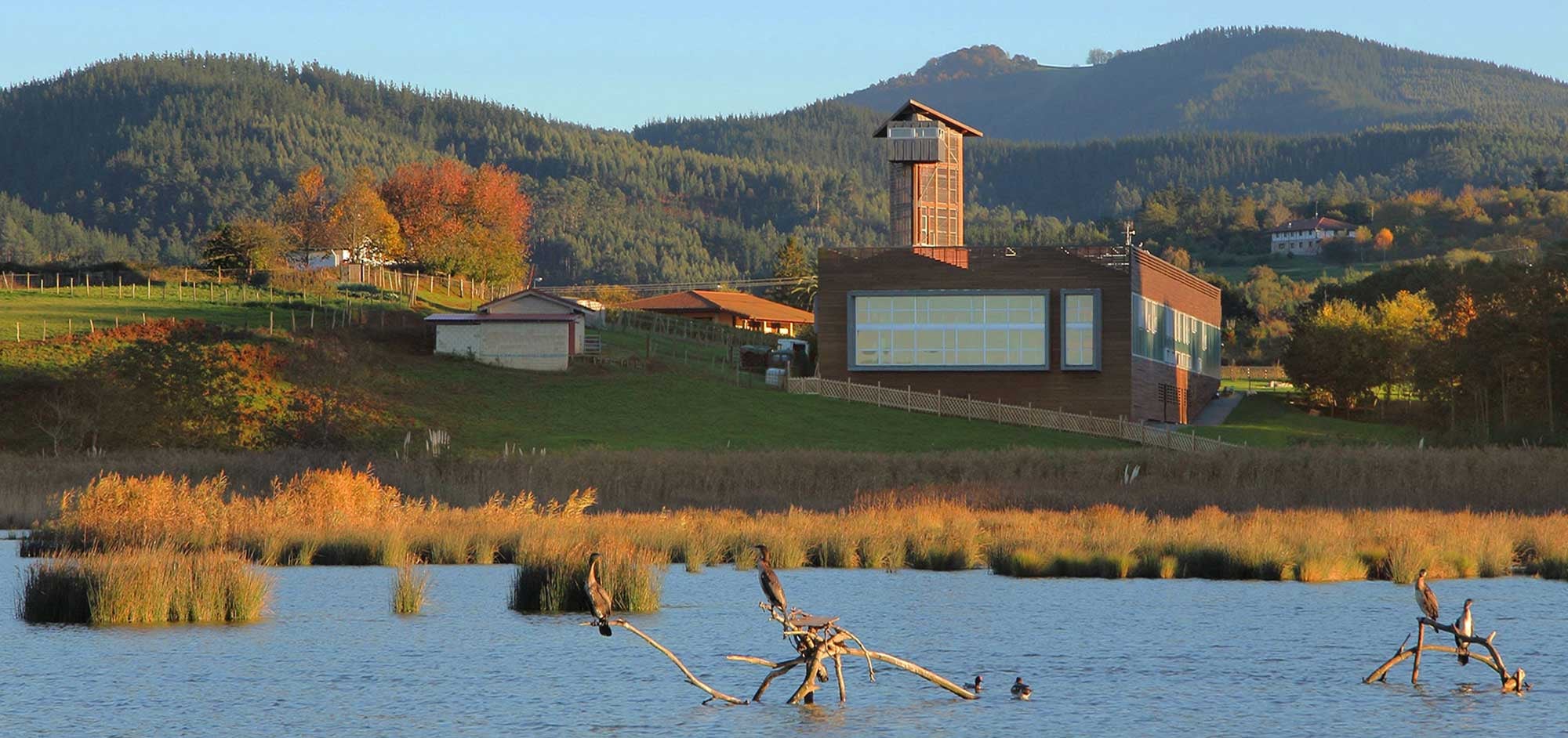 Más de Uno Bizkaia (8:20) 08/06/2021 Más de Uno Bizkaia (8:20) 08/06/2021
