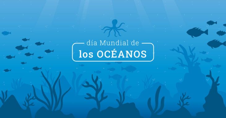 una fecha establecida por la ONU para concienciar de su importancia una fecha establecida por la ONU para concienciar de su importancia