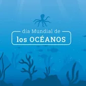 una fecha establecida por la ONU para concienciar de su importancia una fecha establecida por la ONU para concienciar de su importancia