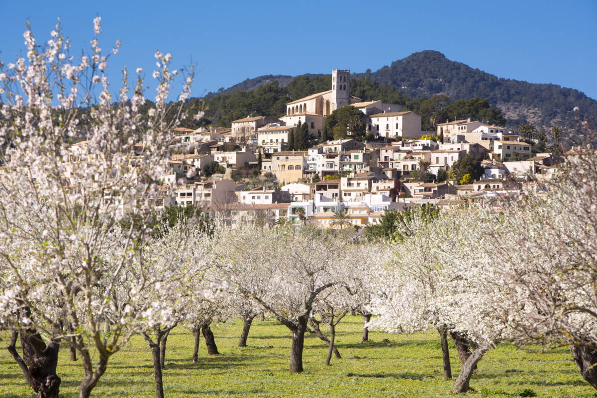 “Tenemos la responsabilidad de preservar y conservar todos los valores que envuelven a la Serra de Tramuntana” “Tenemos la responsabilidad de preservar y conservar todos los valores que envuelven a la Serra de Tramuntana”