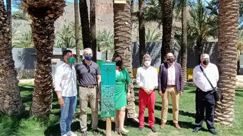celebración del Día Mundial del Medio Ambiente con un sinfín de actividades celebracion