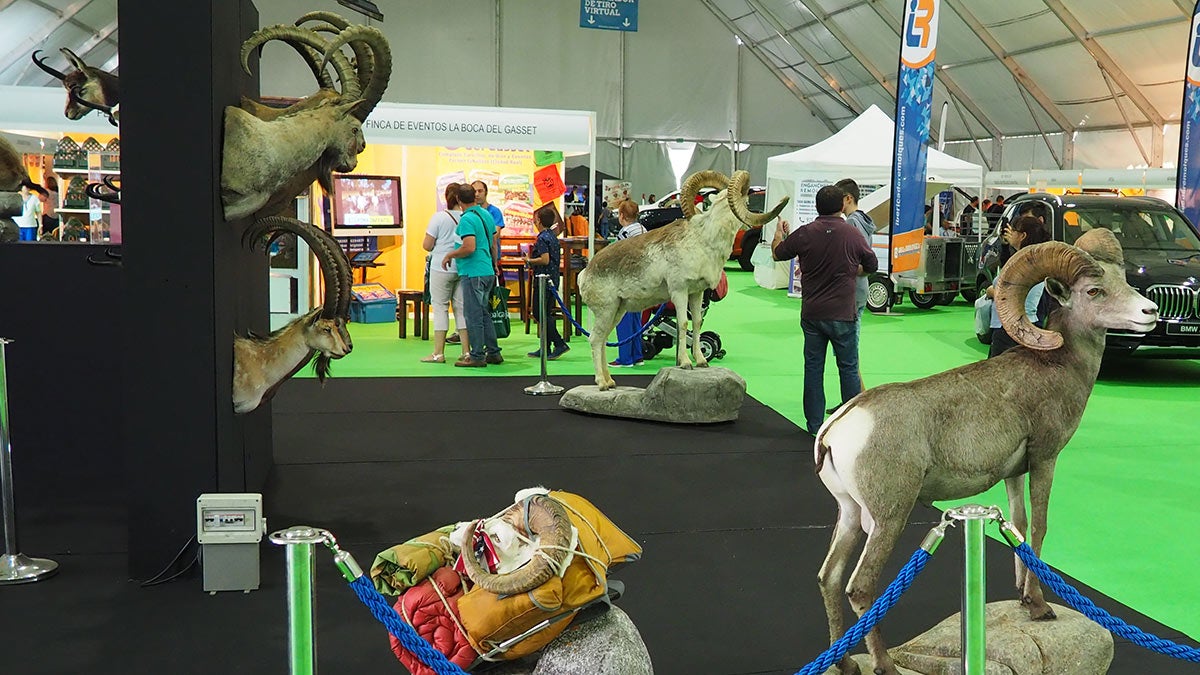 FECIR quiere incrementar la superficie de sus ferias comerciales y no descarta alguna nueva en un futuro FECIR quiere incrementar la superficie de sus ferias comerciales y no descarta alguna nueva en un futuro