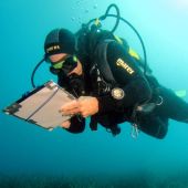La Diputación de Alicante apoya desde hace años este proyecto que cuenta con 73 estaciones de muestreo 