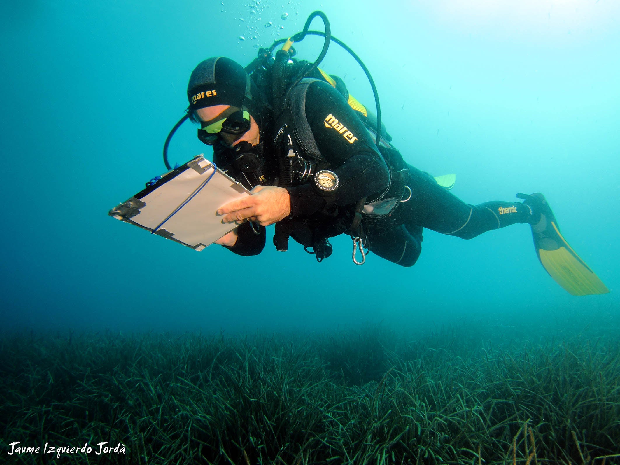 El Instituto de Ecología Litoral hace seguimiento a la mayor extensión de praderas de posidonia El Instituto de Ecología Litoral hace seguimiento a la mayor extensión de praderas de posidonia