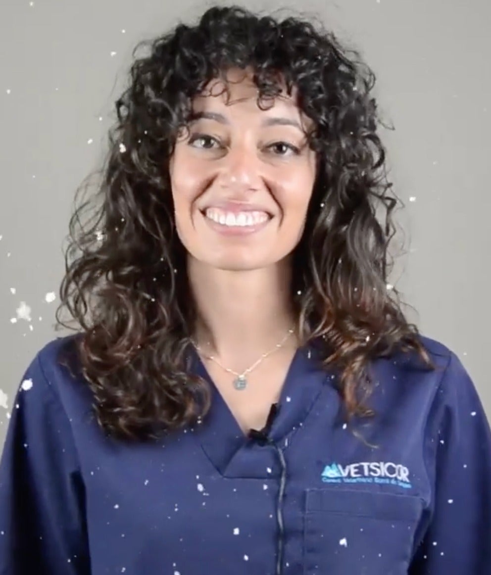 La incidencia de las mascotas en los jóvenes La incidencia de las mascotas en los jóvenes