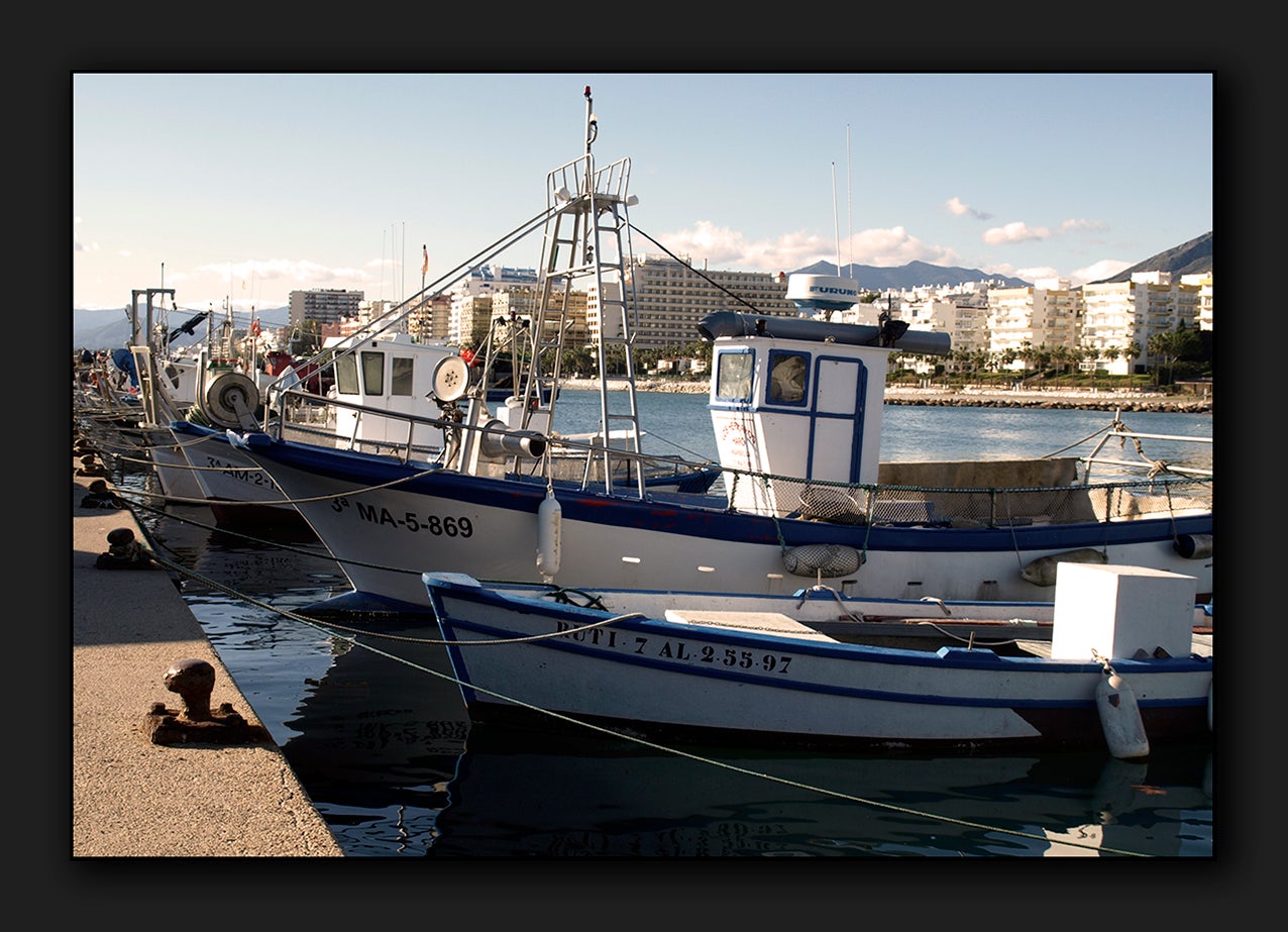 La pesca perdió un 60% durante el primer año de la pandemia en Marbella La pesca perdió un 60% durante el primer año de la pandemia en Marbella