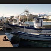 Puerto pesquero Marbella Puerto pesquero Marbella