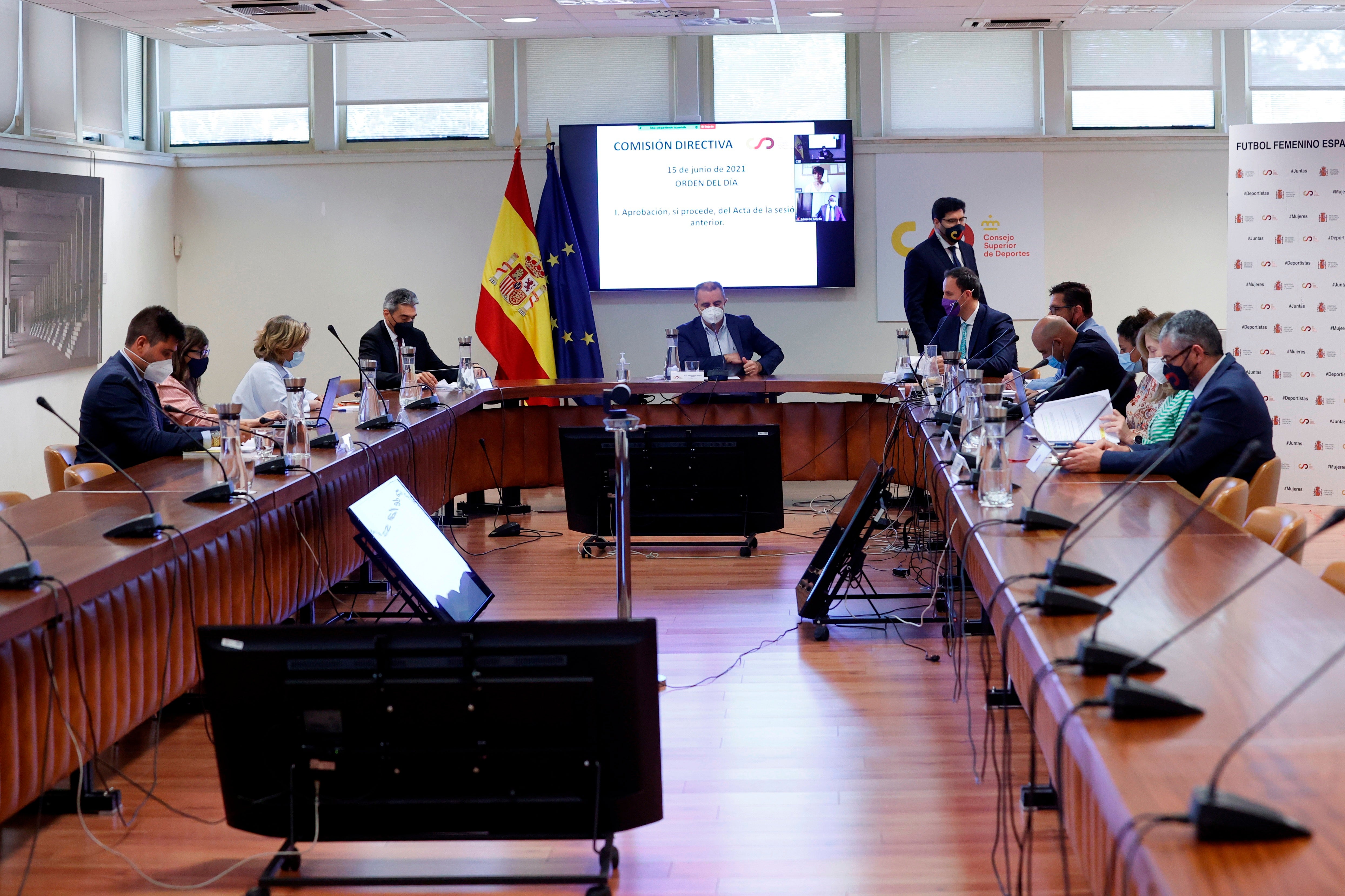 El CSD aprueba por unanimidad la profesionalización del fútbol femenino en España El CSD aprueba por unanimidad la profesionalización del fútbol femenino en España