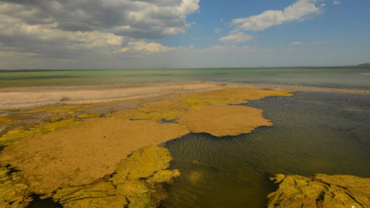 Mar Menor
