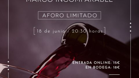 Cata de vinos en Bodega Santa Marina 