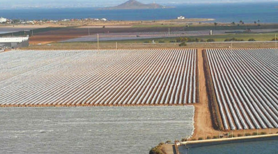 Más de 200 agricultores del Campo de Cartagena denuncian ante la justicia la Ley del Mar Menor que califican de "infectiva" Más de 200 agricultores del Campo de Cartagena denuncian ante la justicia la Ley del Mar Menor que califican de "infectiva"