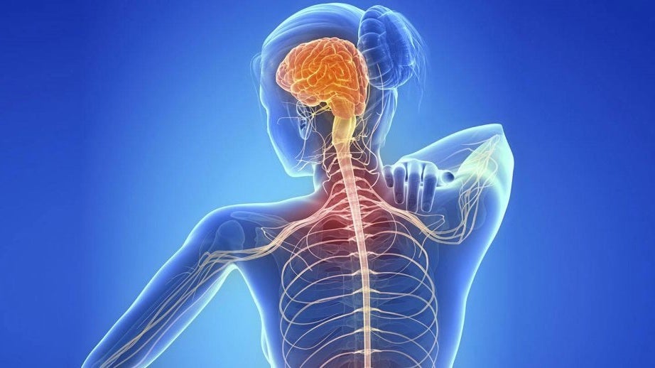 La "enfermedad de las mil caras" que sufren 1.500 aragoneses La "enfermedad de las mil caras" que sufren 1.500 aragoneses