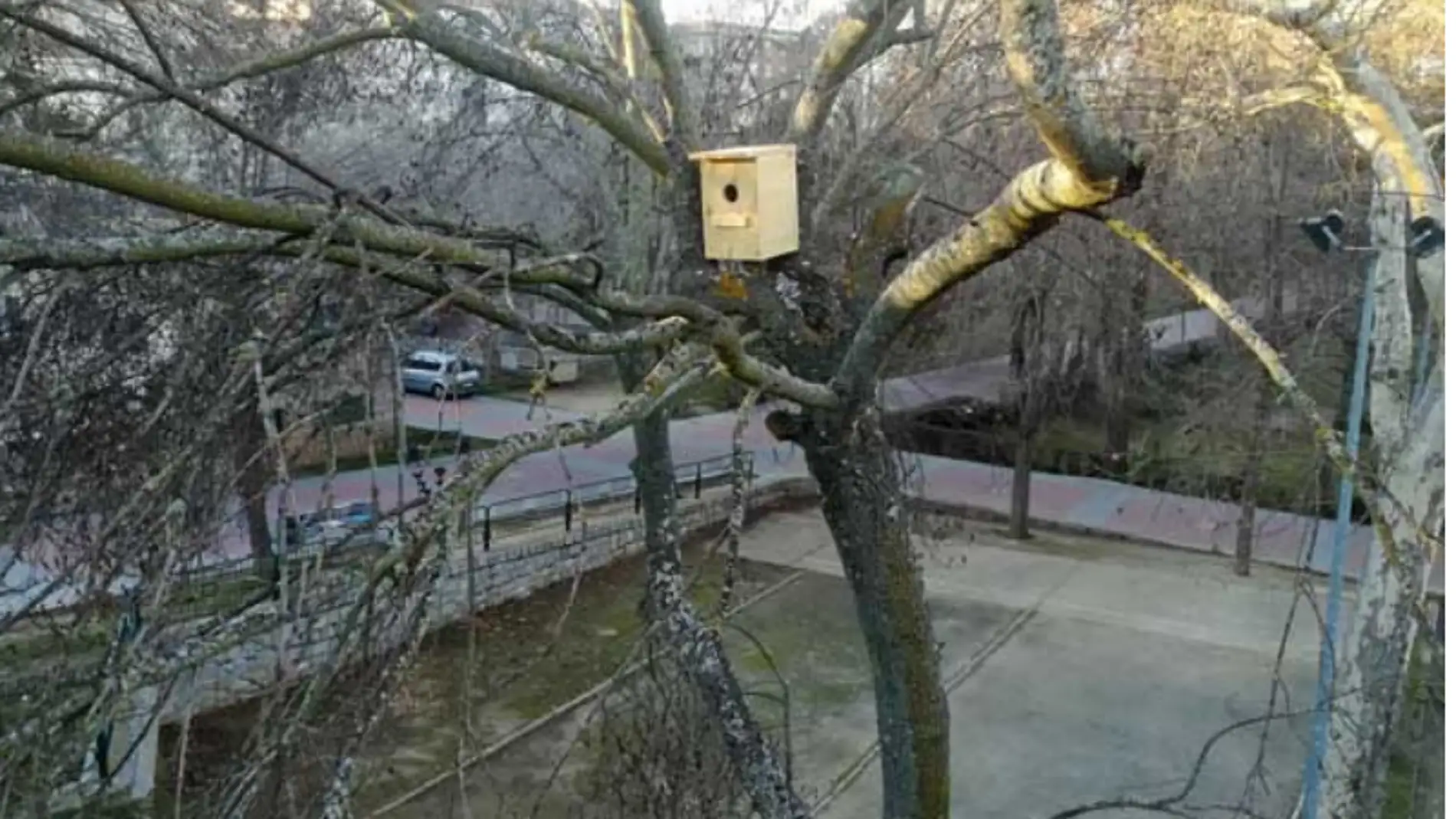 Una de las cajas nido para murciélagos instaladas por el Ayuntamiento de Aspe.