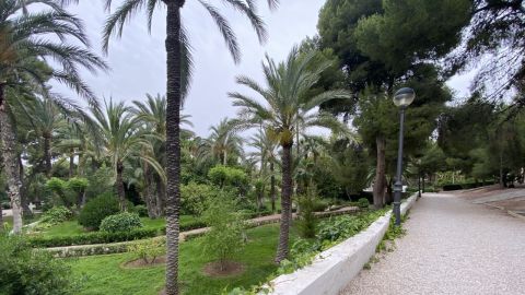 Parque municipal de Crevillent.