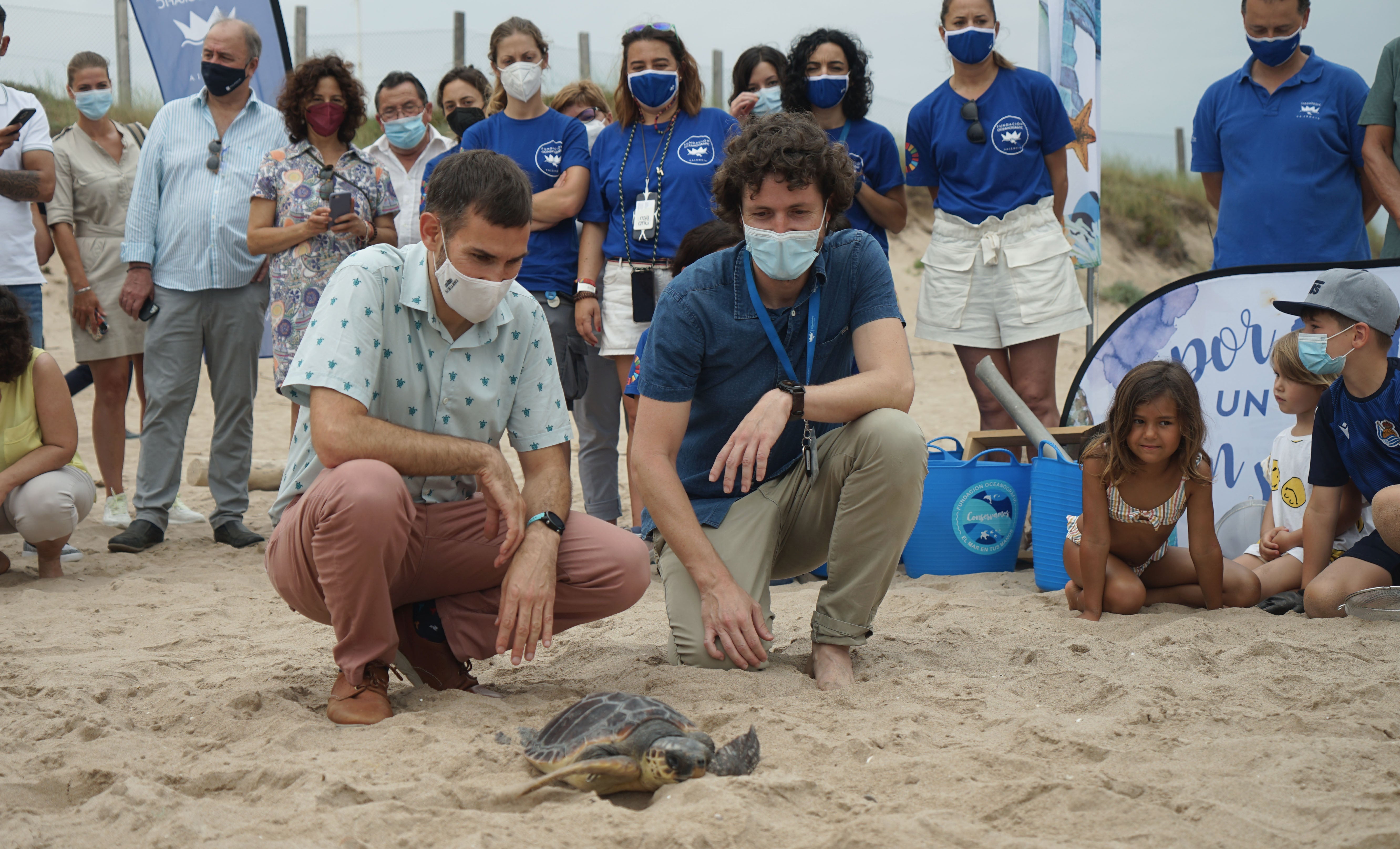 Más de 55 municipios participan en la campaña 'Tortugas en el Mediterráneo' Más de 55 municipios participan en la campaña 'Tortugas en el Mediterráneo'