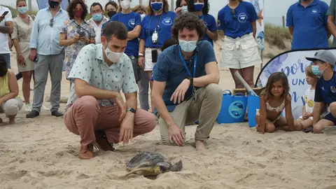 Día mundial de la tortuga marina Día mundial de la tortuga marina