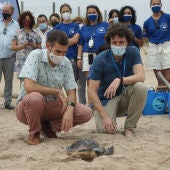 Día mundial de la tortuga marina