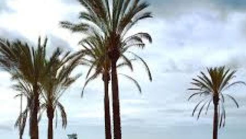 EL CABLE 
