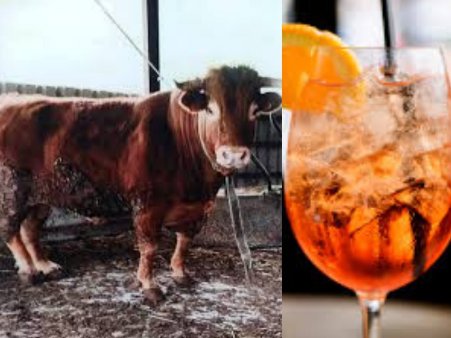 La Brújula de Euskadi 17/06/2021 La Brújula de Euskadi 17/06/2021