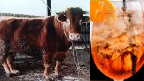 buey y cocteles carne y bebida