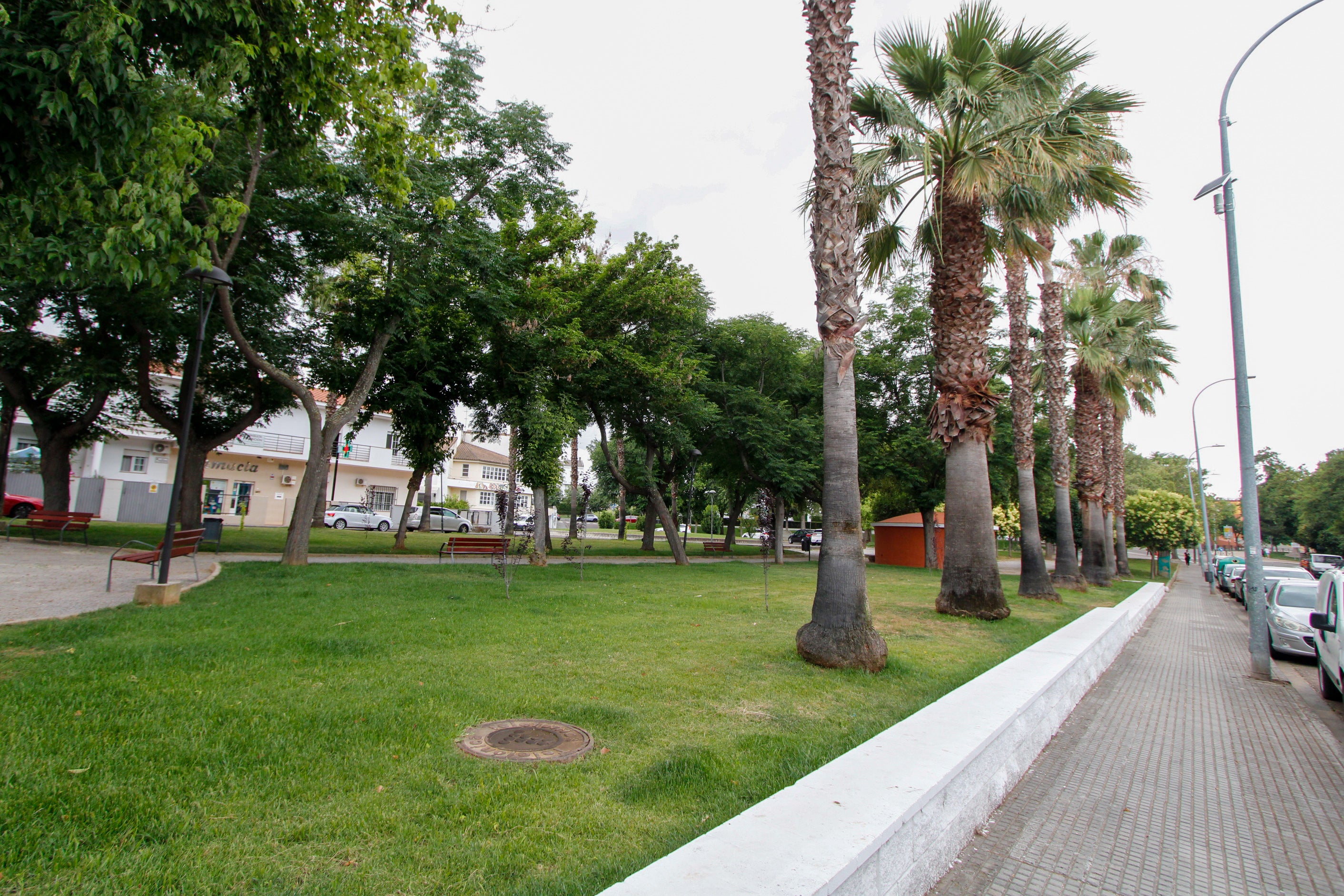 El parque de la Cruzcampo y San Antonio ya luce nuevo mobiliario y zonas verdes El parque de la Cruzcampo y San Antonio ya luce nuevo mobiliario y zonas verdes