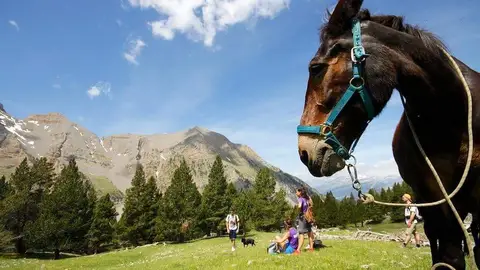 Rutas de Trekking Mule Rutas de Trekking Mule