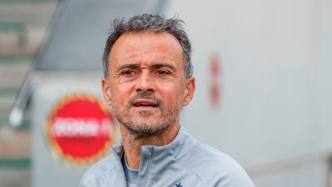 Luis Enrique, seleccionador de Espa&ntilde;a en la Eurocopa