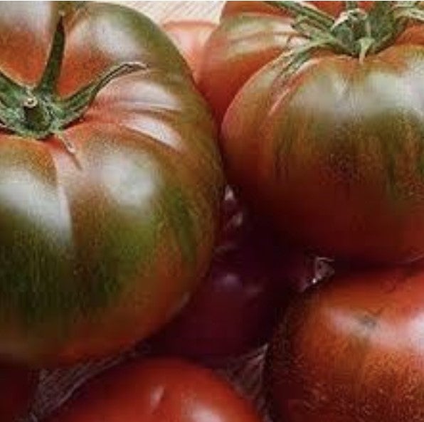 Alcampo inicia la comercialización del 'Tomate Muchamiel' para apoyar a los productores y posicionar el producto local y de calidad Alcampo inicia la comercialización del 'Tomate Muchamiel' para apoyar a los productores y posicionar el producto local y de calidad
