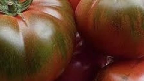 Tomate muchamiel