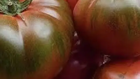 Tomate muchamiel. Tomate muchamiel