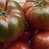 Tomate muchamiel.