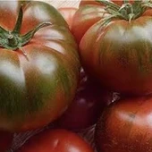Tomate muchamiel. Tomate muchamiel.