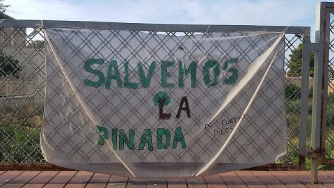 Pinada Cuatro Picos Pinada Cuatro Picos