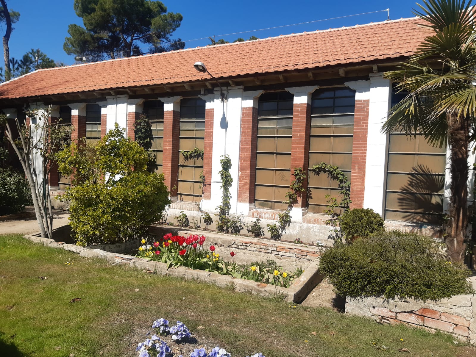 Más de uno Alcalá 22/06/2021 Más de uno Alcalá 22/06/2021