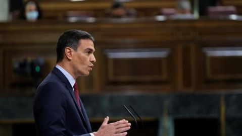 Pedro S&aacute;nchez en el Congreso