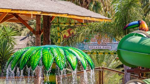 El R&iacute;o Safari Elche presenta sus novedades de cara a la temporada de verano.