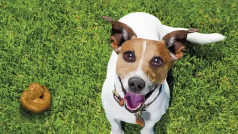 Ribadesella inicia una campaña para concienciar sobre los excrementos caninos Ribadesella inicia una campaña para concienciar sobre los excrementos caninos