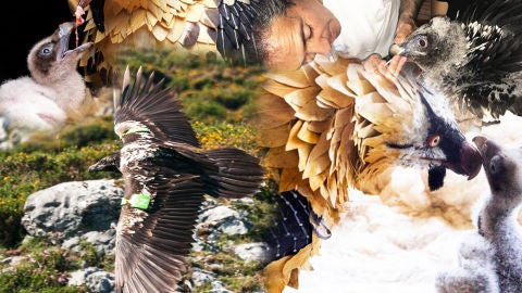 Progresa la vuelta a los Picos de Europa