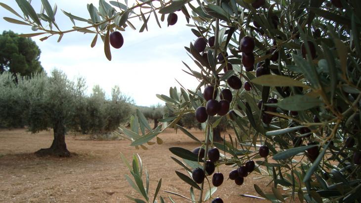 Noticias de Córdoba matinal 21/12/2022 Noticias de Córdoba matinal 21/12/2022