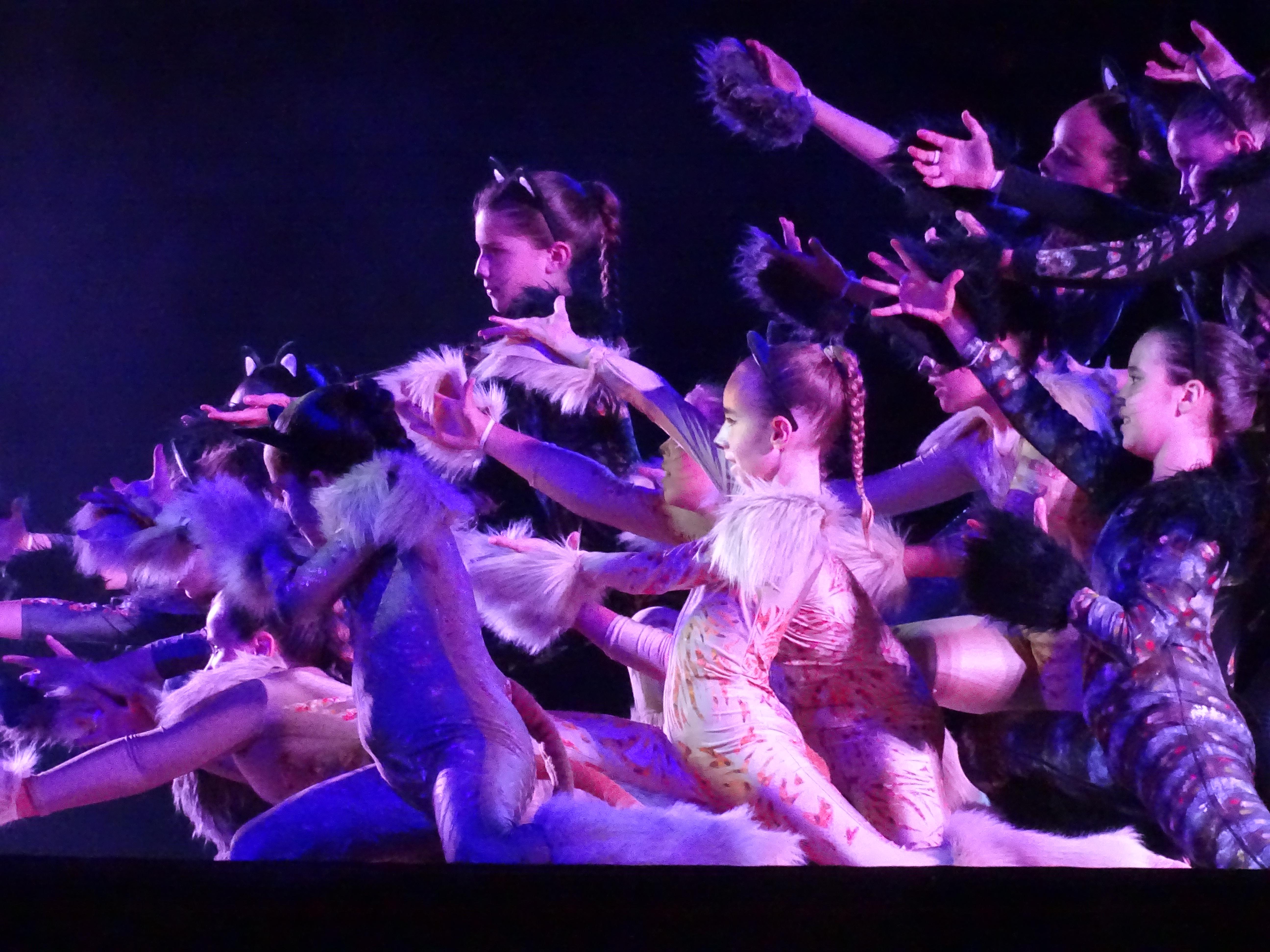 La Escuela de Danza María Mota sumerge a Quintanar en la magia de los musicales La Escuela de Danza María Mota sumerge a Quintanar en la magia de los musicales