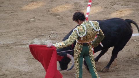 Torero
